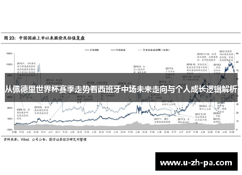 从佩德里世界杯赛季走势看西班牙中场未来走向与个人成长逻辑解析